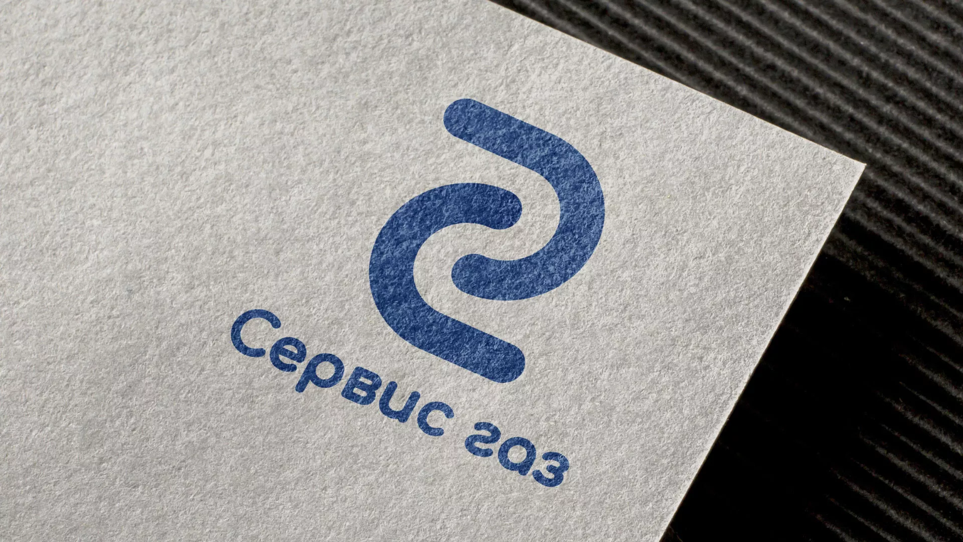 Разработка логотипа «Сервис газ» в Карасуке