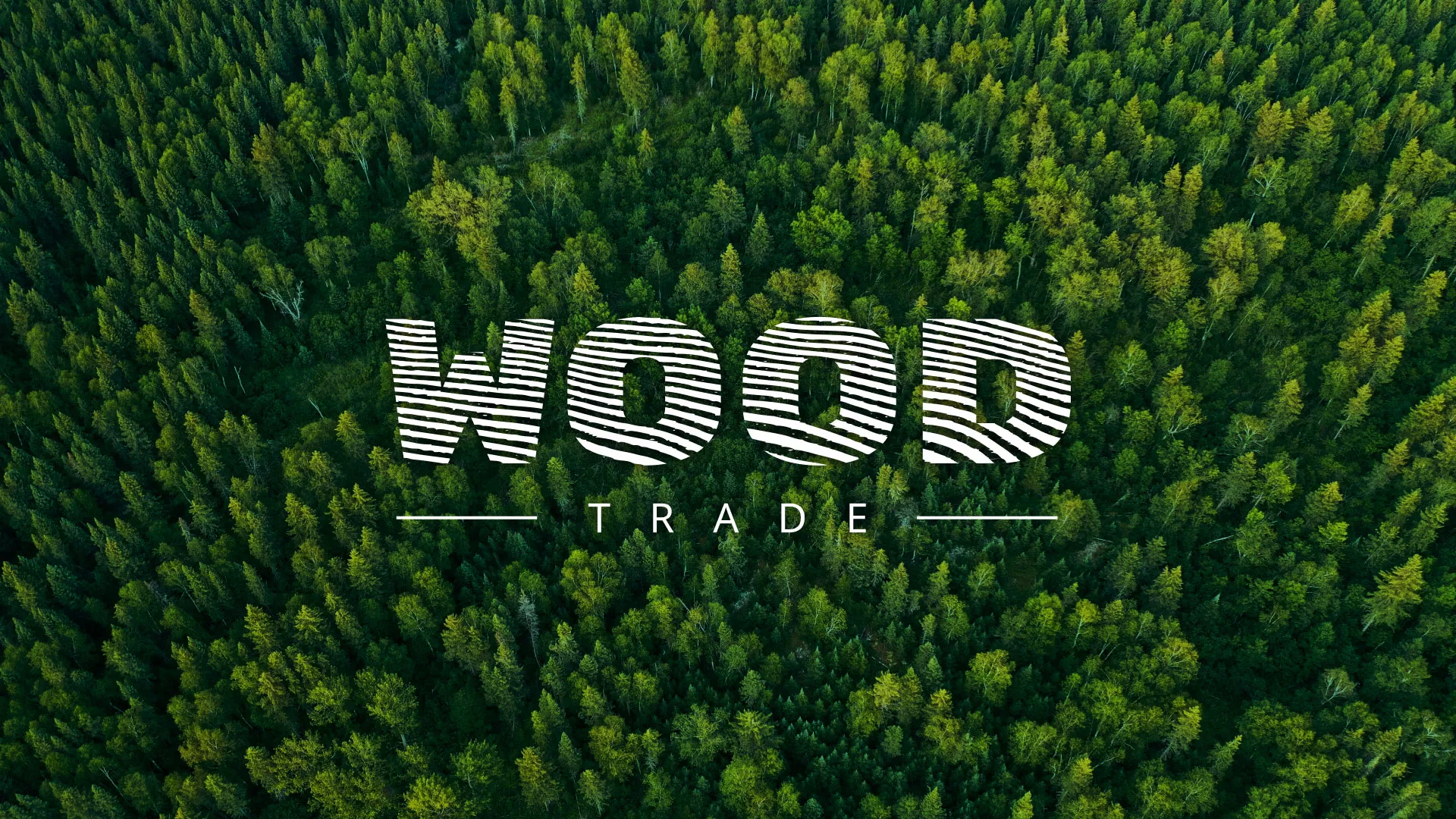Разработка интернет-магазина компании «Wood Trade» в Карасуке
