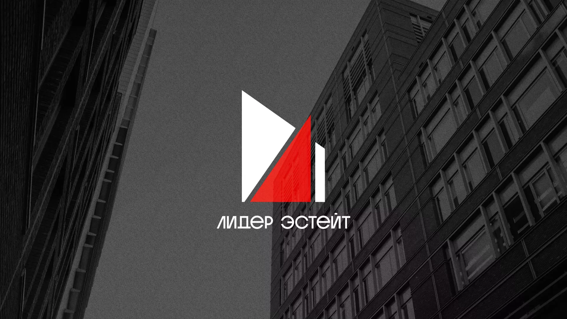 Сделали логотип для агентства недвижимости «Лидер Эстейт» в Карасуке